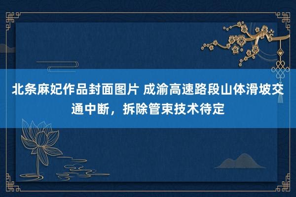 北条麻妃作品封面图片 成渝高速路段山体滑坡交通中断，拆除管束技术待定