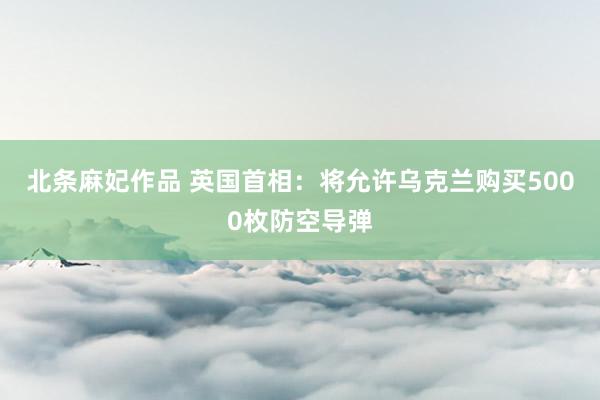 北条麻妃作品 英国首相：将允许乌克兰购买5000枚防空导弹