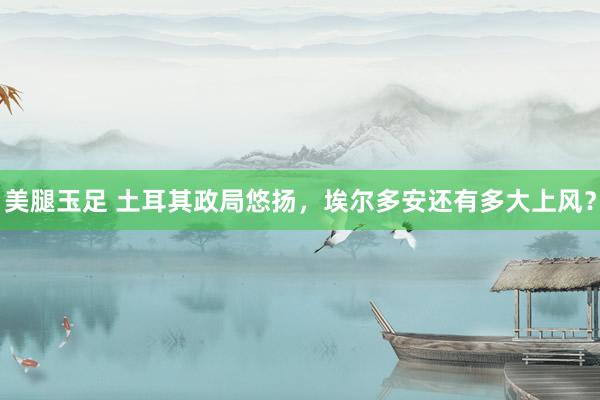 美腿玉足 土耳其政局悠扬，埃尔多安还有多大上风？