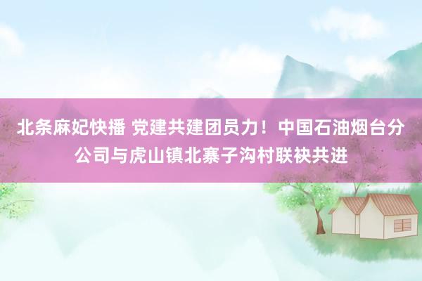 北条麻妃快播 党建共建团员力！中国石油烟台分公司与虎山镇北寨子沟村联袂共进