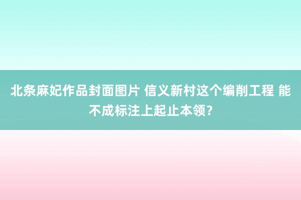 北条麻妃作品封面图片 信义新村这个编削工程 能不成标注上起止本领？
