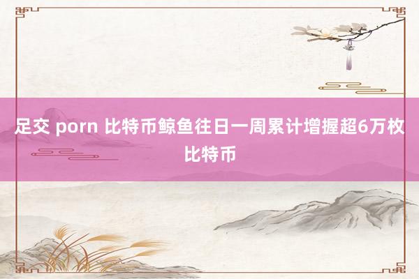 足交 porn 比特币鲸鱼往日一周累计增握超6万枚比特币