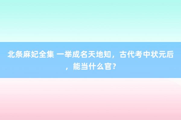 北条麻妃全集 一举成名天地知，古代考中状元后，能当什么官？
