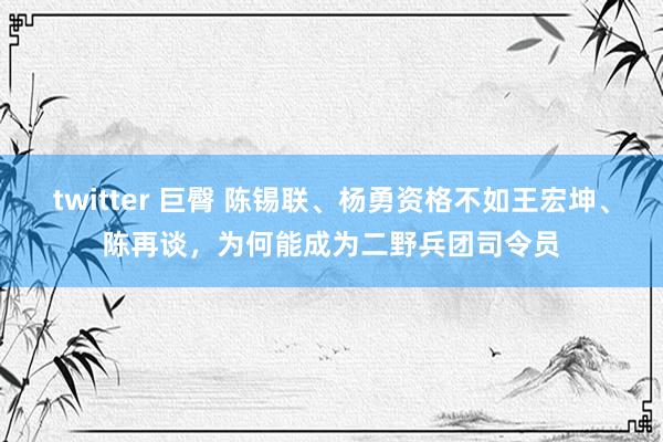 twitter 巨臀 陈锡联、杨勇资格不如王宏坤、陈再谈，为何能成为二野兵团司令员